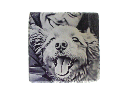 Fellnase Quadrat ca 10cm Eigenes Bild