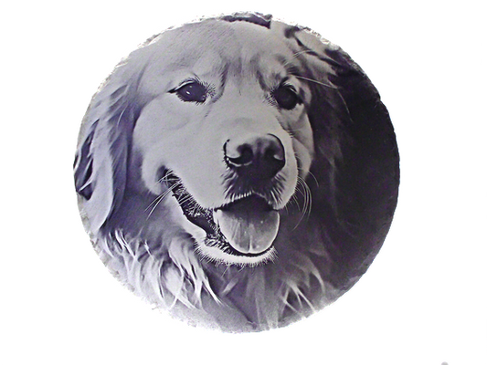 Fellnase Rund 20cm Eigenes Bild